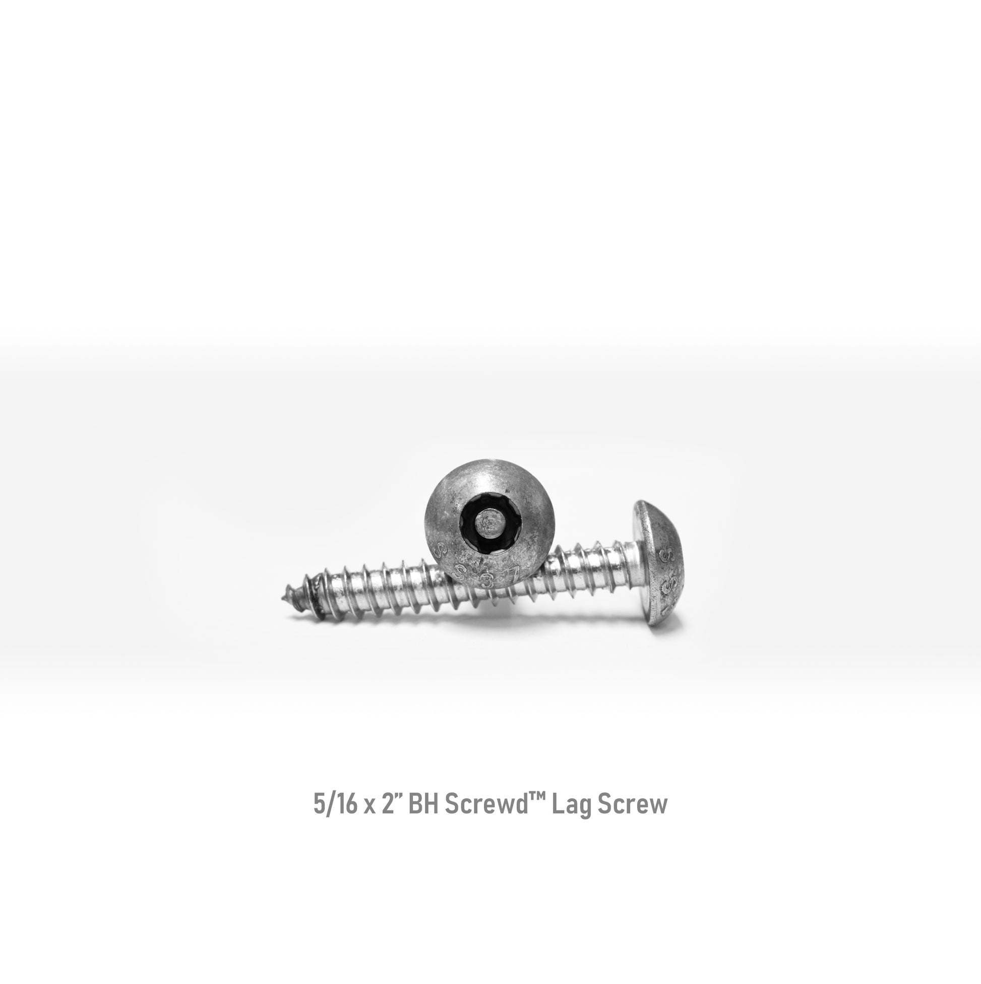 5/16-9 x 2" Button Head Screwd® Security Lag Screw Made out of Stainless Steel